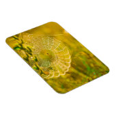 Magnet Flexible Paysage naturel Spiderweb Spiderweb Soleil (Côté Droit)
