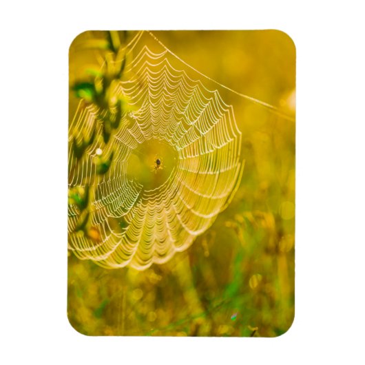 Magnet Flexible Paysage naturel Spiderweb Spiderweb Soleil (Vertical)