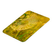 Magnet Flexible Paysage naturel Spiderweb Spiderweb Soleil (Côté Gauche)