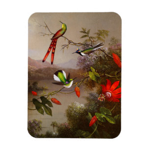 Magnet Flexible Paysage tropical avec dix colibris