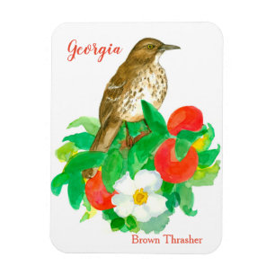 Magnet Flexible Peaches Cherokee Rose Bird Aquarelle