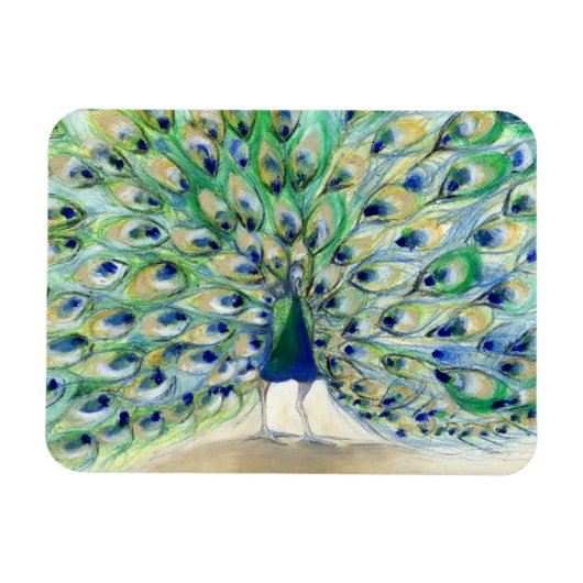 Magnet Flexible Peacock à San Diego 2 2013 (Horizontal)