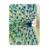 Magnet Flexible Peacock à San Diego 2 2013 (Vertical)