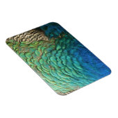 Magnet Flexible Peacock Plumes I Colorful Abstrait Nature Design (Côté Droit)