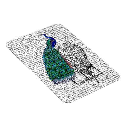 Magnet Flexible Peacock sur la chaise (Côté Droit)