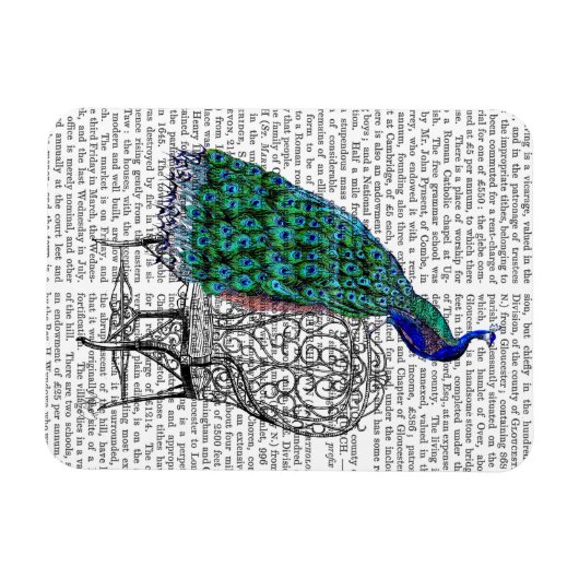 Magnet Flexible Peacock sur la chaise (Horizontal)