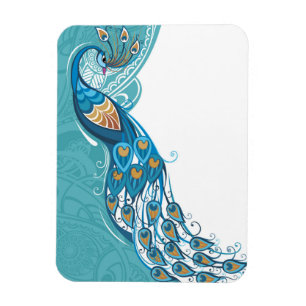 Magnet Flexible Peacock sur l'illustration Turquoise