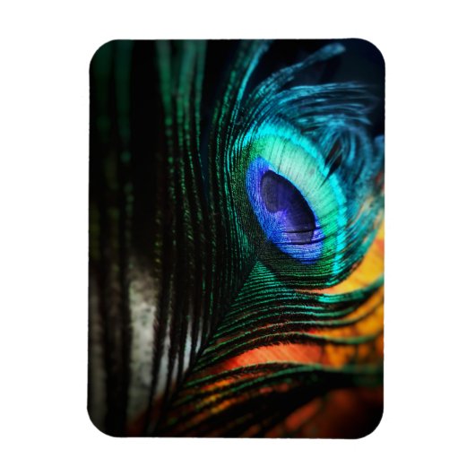 Magnet Flexible Peakcock Feather up close et personnel (Vertical)