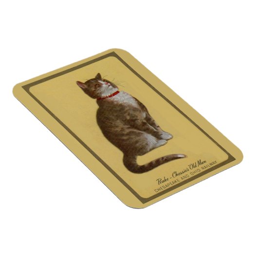 Magnet Flexible Peake, le chat tabby de Chessie (Côté Droit)