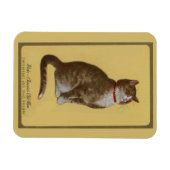 Magnet Flexible Peake, le chat tabby de Chessie (Horizontal)