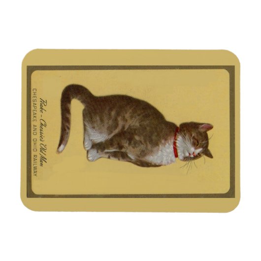 Magnet Flexible Peake, le chat tabby de Chessie (Horizontal)