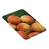 Magnet Flexible Pêche fraîche (Côté Droit)