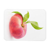 Magnet Flexible Pêche plate (Horizontal)