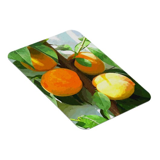 MAGNET FLEXIBLE PÊCHES (Côté Droit)