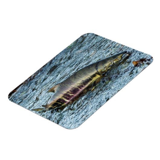 Magnet Flexible Pêcheurs les aiment Saumon (Côté Gauche)