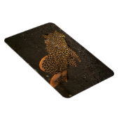 Magnet Flexible Peckoltia Compta (Côté Droit)