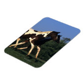 Magnet Flexible Peindre les oreilles en cours (Côté Gauche)