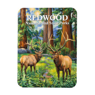 Magnet Flexible Peinture à l'huile de forêt de séquoias Elk Redwoo