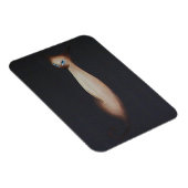 Magnet Flexible Peinture à l'huile étonnante Chat siamois (Côté Droit)