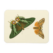 Magnet Flexible Peinture à papillon légèrement frontière (Horizontal)