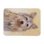 Magnet Flexible Peinture Berger Picard - Joli art original chien (Horizontal)