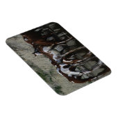 Magnet Flexible Peinture Chevaux Boire (Côté Droit)