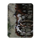 Magnet Flexible Peinture Chevaux Boire (Vertical)