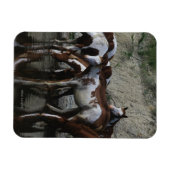 Magnet Flexible Peinture Chevaux Boire (Horizontal)