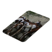 Magnet Flexible Peinture Chevaux Boire (Côté Gauche)