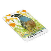 Magnet Flexible Peinture de cailles d'aquarelle de Californie (Côté Droit)