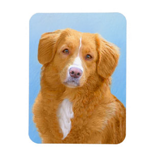Magnet Flexible Peinture de chien Retriever de Tolling de Canard d