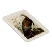 Magnet Flexible Peinture d'oiseaux sauvages de Turquie Audubon (Côté Droit)