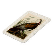 Magnet Flexible Peinture d'oiseaux sauvages de Turquie Audubon (Côté Gauche)