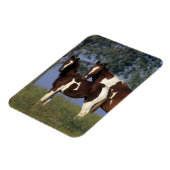 Magnet Flexible Peinture Mare & Foie (Côté Gauche)