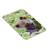 Magnet Flexible Peinture originale d'un chiot Keeshond dans le jar (Côté Droit)