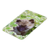 Magnet Flexible Peinture originale d'un chiot Keeshond dans le jar (Côté Gauche)