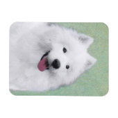 Magnet Flexible Peinture Samoyed - Cute Original Chien Art (Horizontal)