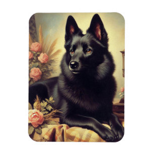 Magnet Flexible Peinture vintage de Chien Schipperke