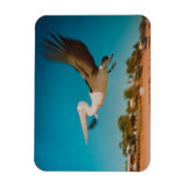 Magnet Flexible Pélican (Vertical)