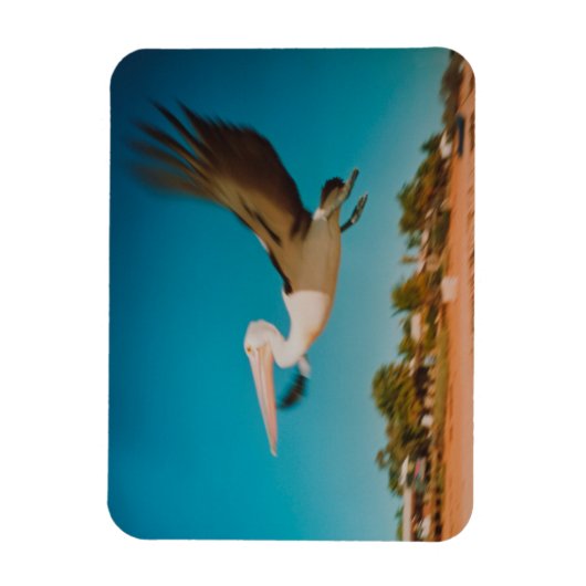 Magnet Flexible Pélican (Vertical)