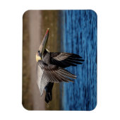 Magnet Flexible Pélican en vol (Vertical)