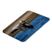 Magnet Flexible Pélican en vol (Côté Gauche)