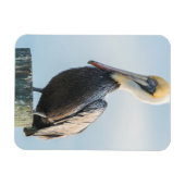 Magnet Flexible Pelican perché sur le pylône (Horizontal)