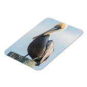 Magnet Flexible Pélican perché sur pylône (Côté Gauche)