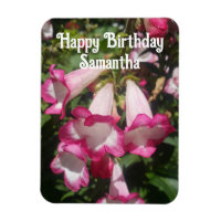 Pendenstein rose Fleurs florales Anniversaire