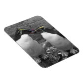 Magnet Flexible Penguin Colour Splash (Côté Droit)