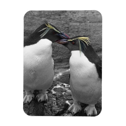 Magnet Flexible Penguin Colour Splash (Vertical)
