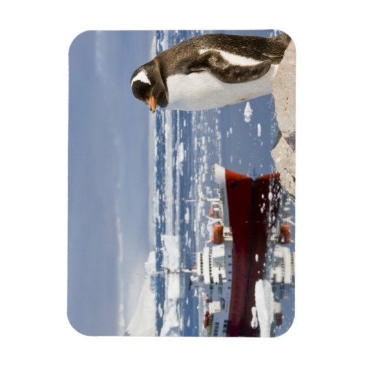 Magnet Flexible Penguin Gentoo (Vertical)