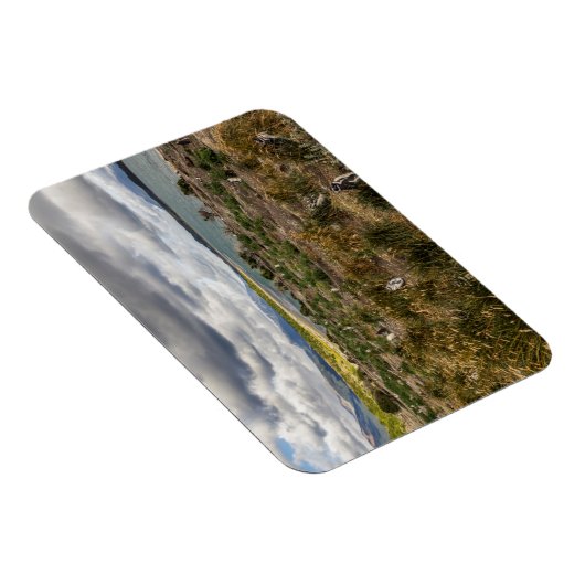 Magnet Flexible Penguinera (Côté Droit)