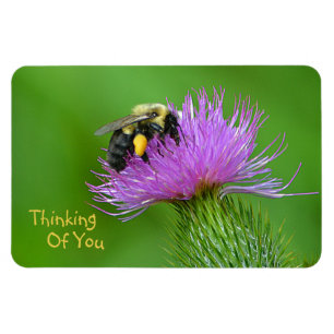 Magnet Flexible "Pensant à vous" aimant d'abeille
